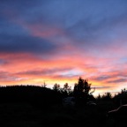 IMG_1310