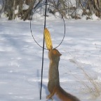 IMG_1603.JPG