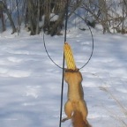 IMG_1604.JPG