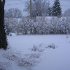 IMG_1680.JPG