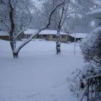 IMG_1682.JPG