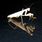 IMG_0251.JPG