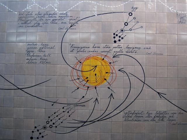 Loading Image