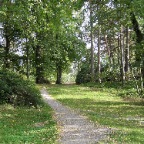 IMG_0423.JPG