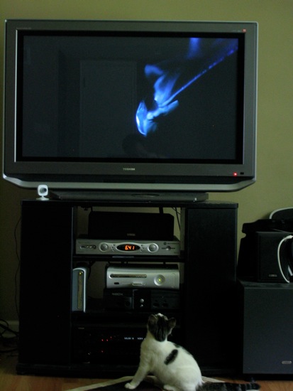 Loading Image