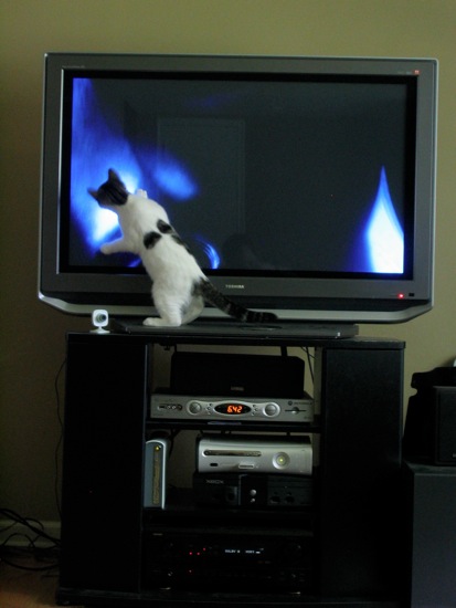 Loading Image