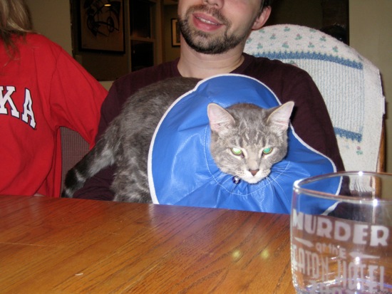 Loading Image