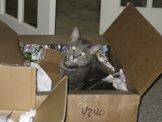 Loading Image