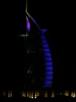 IMG_0803