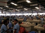 IMG_0898