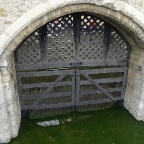 P1000779