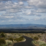 IMG_1872.JPG