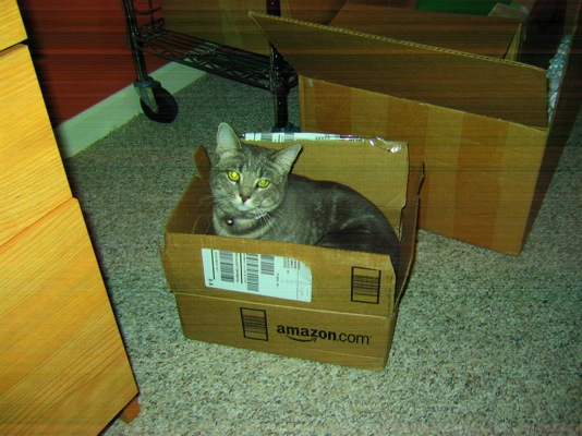 Loading Image