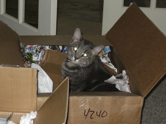 Loading Image