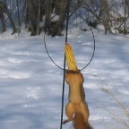 IMG_1604.JPG